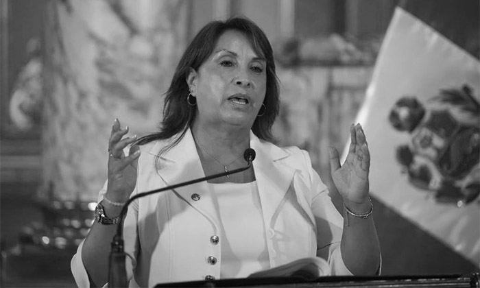 ONU afirma que ley de amnistía promulgada en Perú viola estándares internacionales y debe revertirse